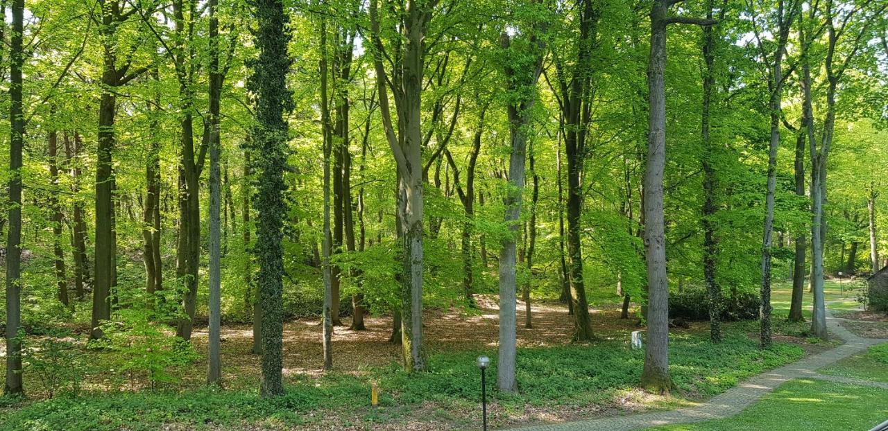 Ceder 104 Apartment Aan de Wolfsberg Bagian luar foto